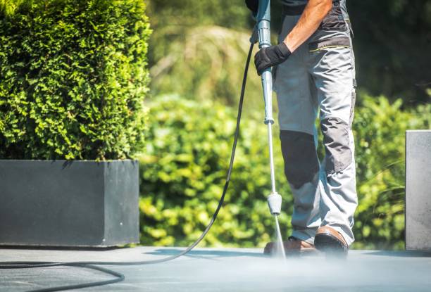 Best Roof Washing  in Mexico, MO