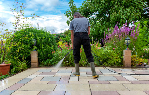 Best Sidewalk and Walkway Cleaning  in Mexico, MO